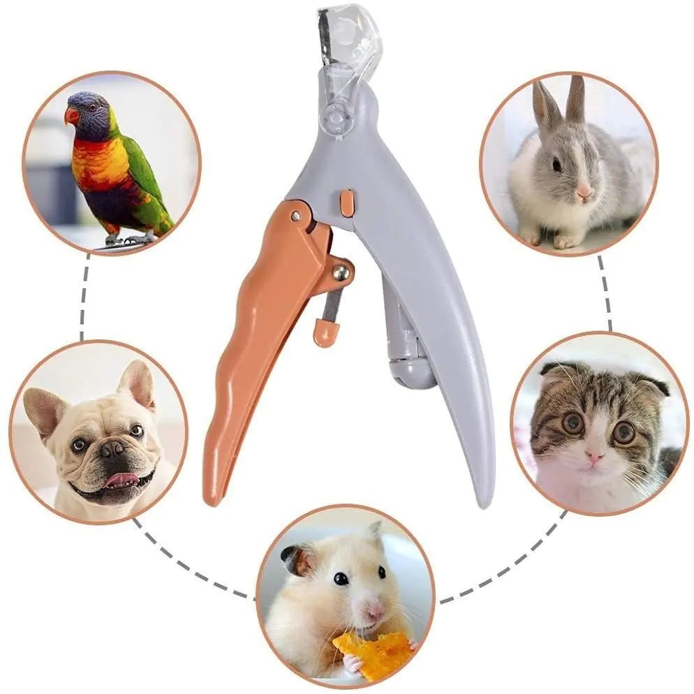Why Trimming Your Pet’s Nails Is Important